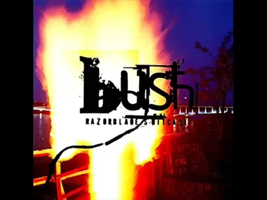 Bush - Razorblade Suitcase [Full Album] 1996