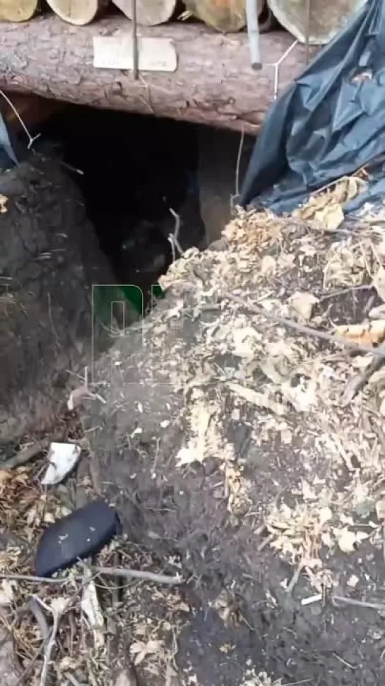 Russian forces capture a Ukrainian position in Pokrovsk direction.Kursk Bulge