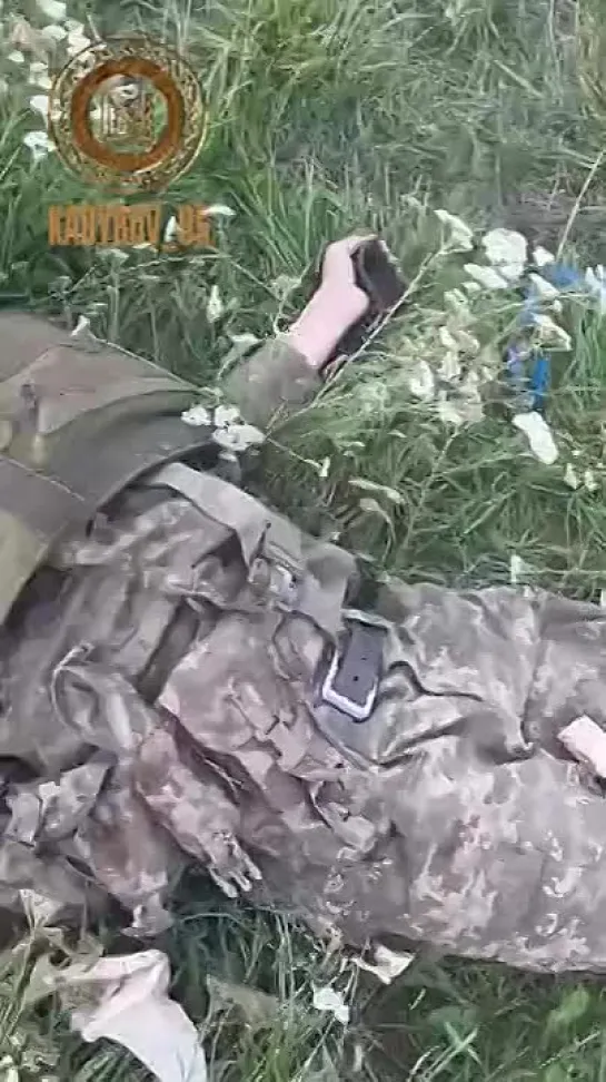 Footage from the Kursk region, where Russian forces destroyed a column of Ukrainian Armed Forces equipment along with its person