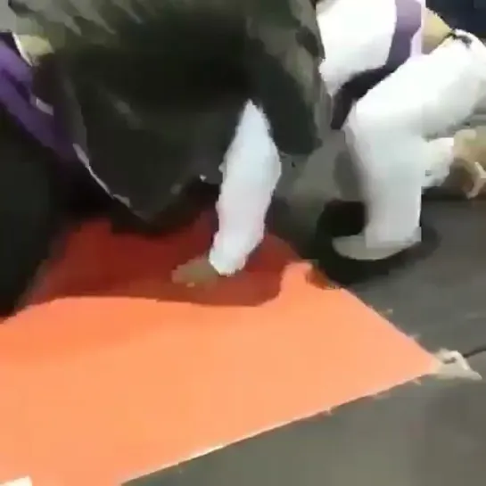 Video by Bjj Freaks