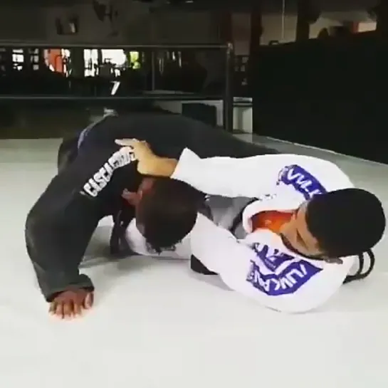 Video by Bjj Freaks