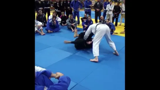 Video by Bjj Freaks