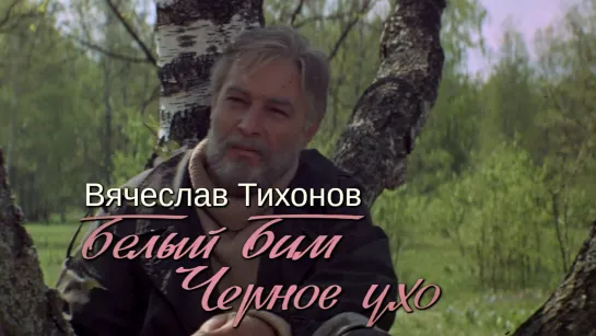 Вячеслав Тихонов (Белый Бим Чёрное ухо, 1976)