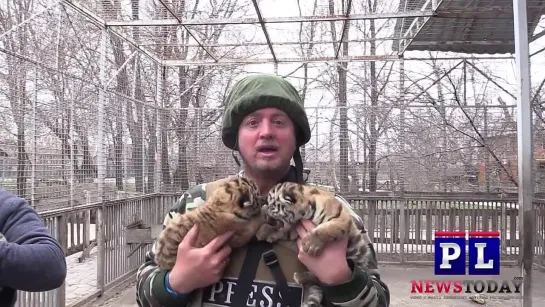 Mariupol Zoo Under Fire_ Russia - Ukraine War