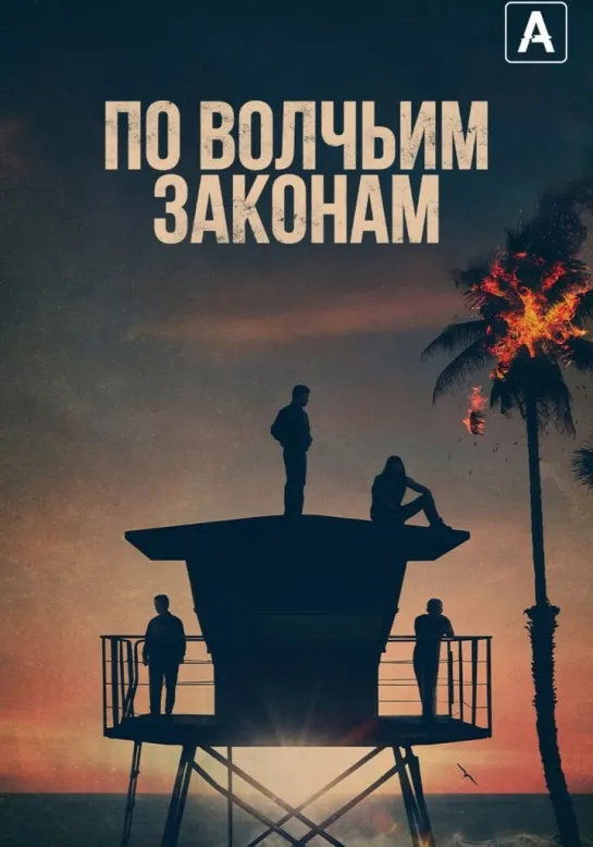 🎥 По волчьим законам 6 : Кинопоиск 8.2 \ IMDB 8.2 \ ТОП 250●69 место