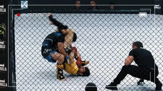 Video by Союз MMA России