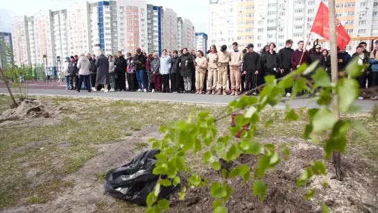 В Тюмени дан старт «Папиной берёзке»