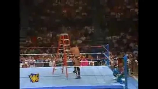 WWE Ladder anad TLC matches.1 OF 6