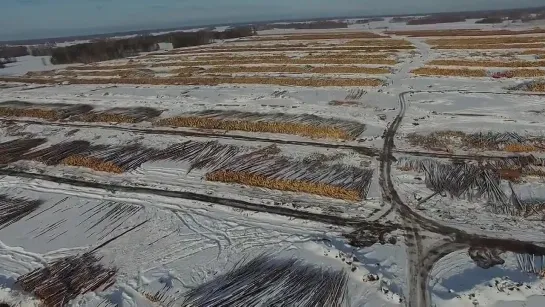 Томская область, Первомайский район