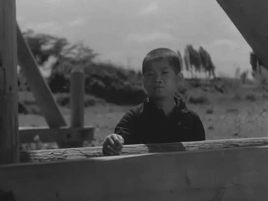 Children of the Beehive (Hiroshi Shimizu, 1948)