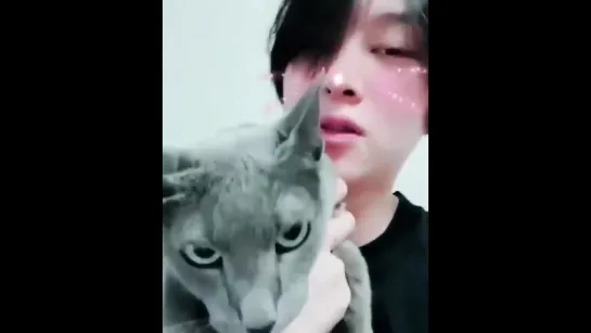 _181009_ Heechul IG Güncellemesi _ Heebum kameradan nefret eder_camera__cat_ - HEEBUM _ .  ( 800 X 640 )