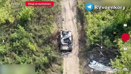 ‼️ ‍ ️Дорога смерти ВСУ в Курской области: сожжённая техника врага, пытавшаяся прорваться в Комаровку