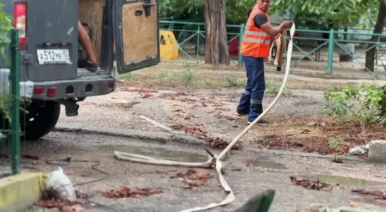 На улице Гоголя идут работы по откачке воды из подвала. Для ликвидации последствий непогоды вы можете обратиться в коммунальные