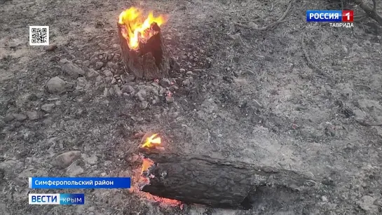 В МЧС выясняют причины мощного лесного пожара под Симферополем: случайность ли?