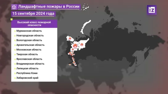 В ряде регионов России борются с крупными ландшафтными пожарами. Наиболее сложная обстановка сейчас в Ростовской и Воронежской о