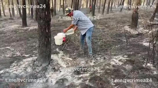 Местные жители помогают МЧС тушить пожар в селе Кольчугино