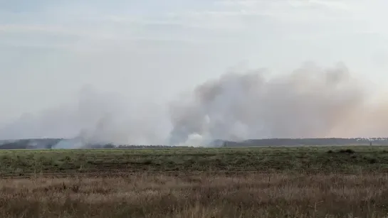 Мощный лесной пожар разгорелся в районе села Кольчугино. Кадрами ЧП делятся наши подписчики