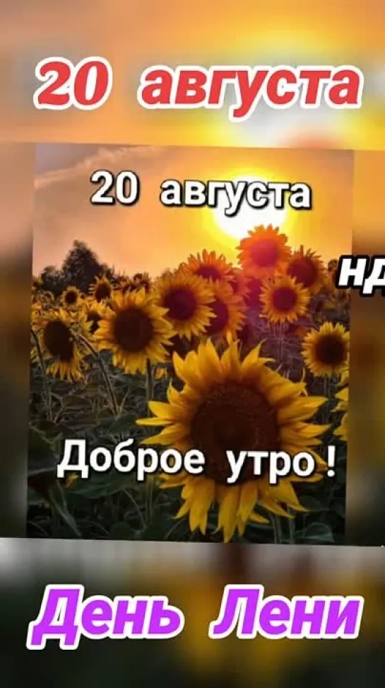 Video by Сольцы ( Новгородская область )