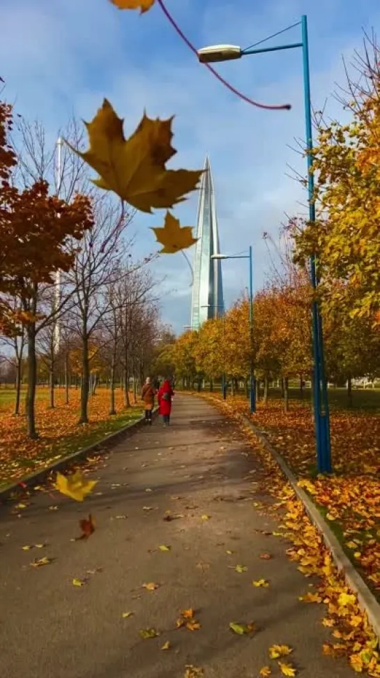 🍁Приморский Район Петербурга, 31.10.2023. Снято на телефон 🤳🏻