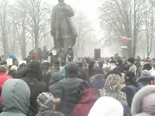 Митинг в Луганске 29.03.2014 Итоги соцопроса "Народный референдум" Снег