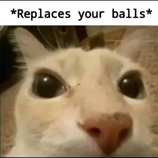 replaces your balls