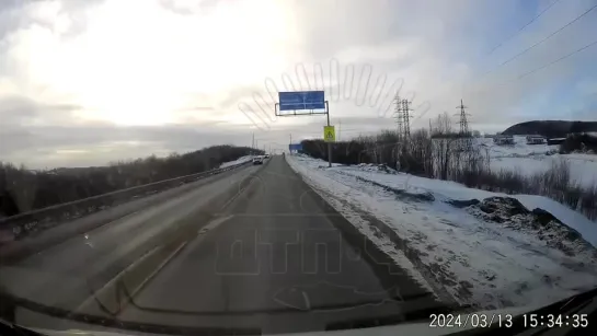 Северный олень на дороге под Зверосовхозом