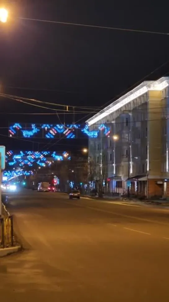 В центре Мурманска скачут олени