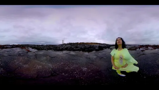 Bjork-Stonemilker(360 degree virtual reality)