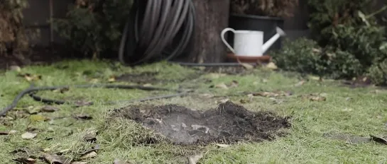 "Burnt Grass"from Ray Wong on Vimeo