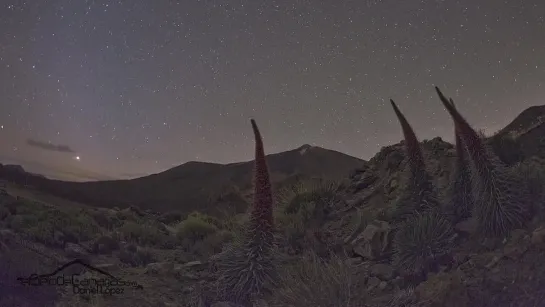 Canary sky-Tenerife