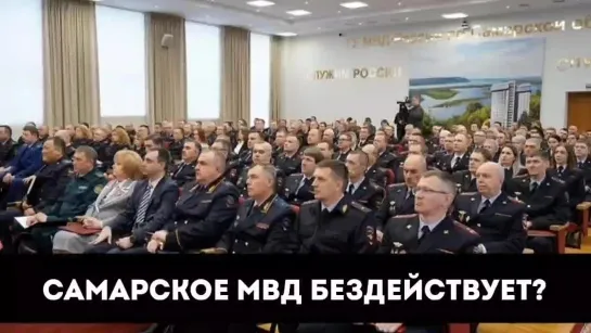 Самарское МВД бездействует?