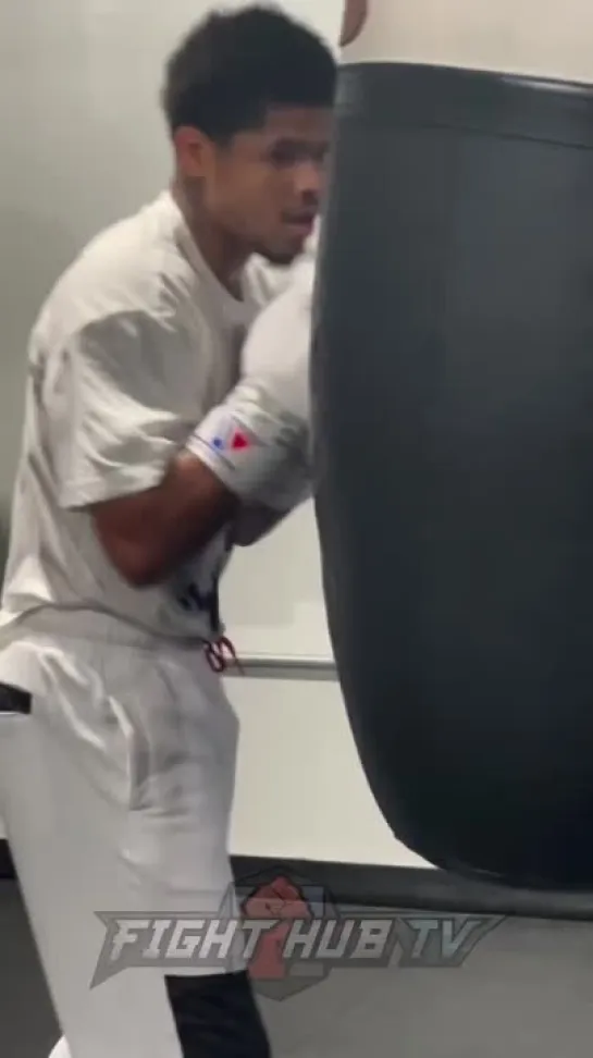 Shakur Stevenson RIPPING bag like a BEAST in return to training