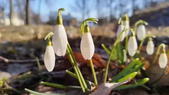 Video by Город+