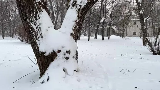 Снег в Петербурге падает