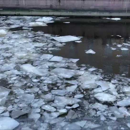 Первый лёд с Ладожского озера добрался до Невы