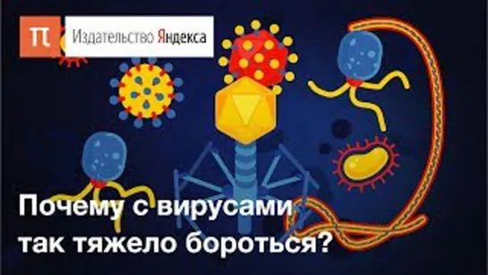 Вирусы_ виды, устройство и способы заражения клетки