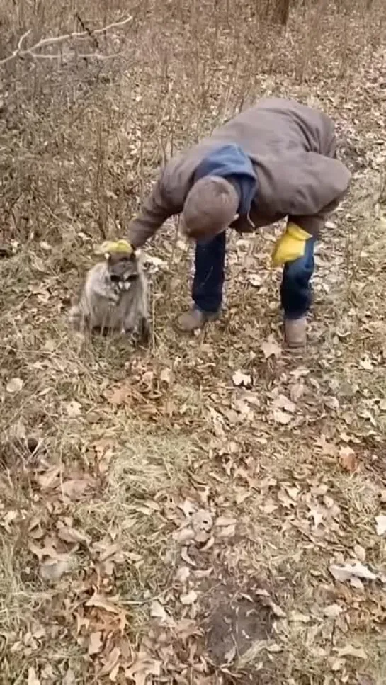 Видео от Типичный выживальщик