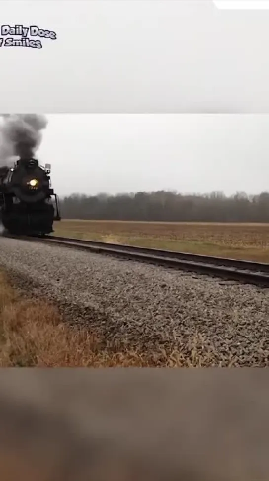 Видео от Типичный выживальщик