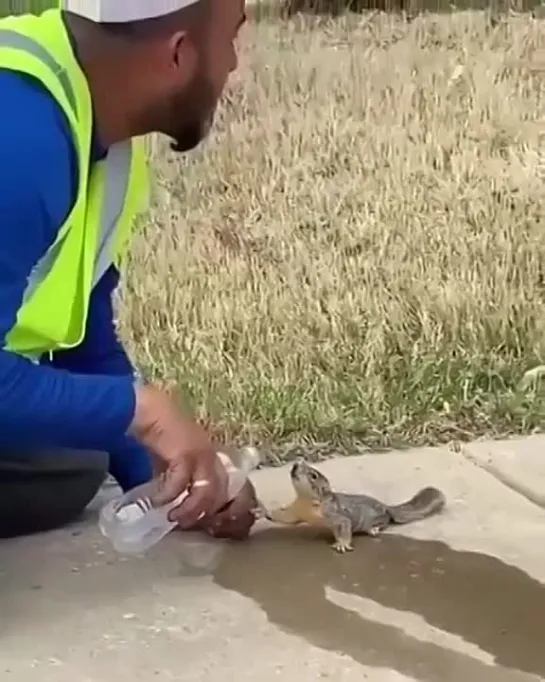 Видео от Типичный выживальщик