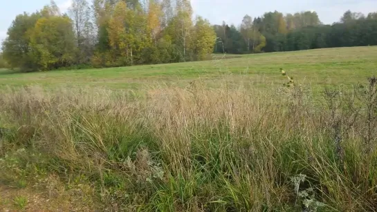 Въезд в Вордевье