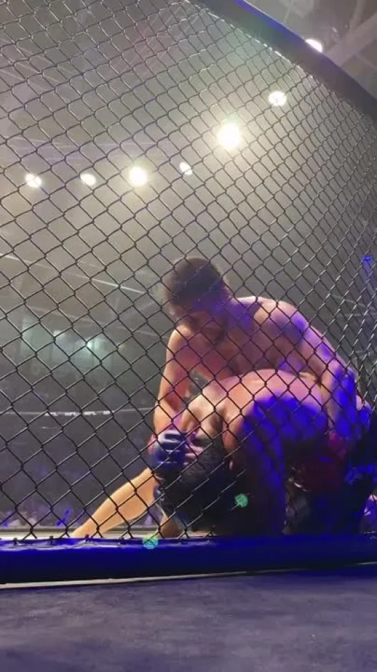 Video by Meta MMA