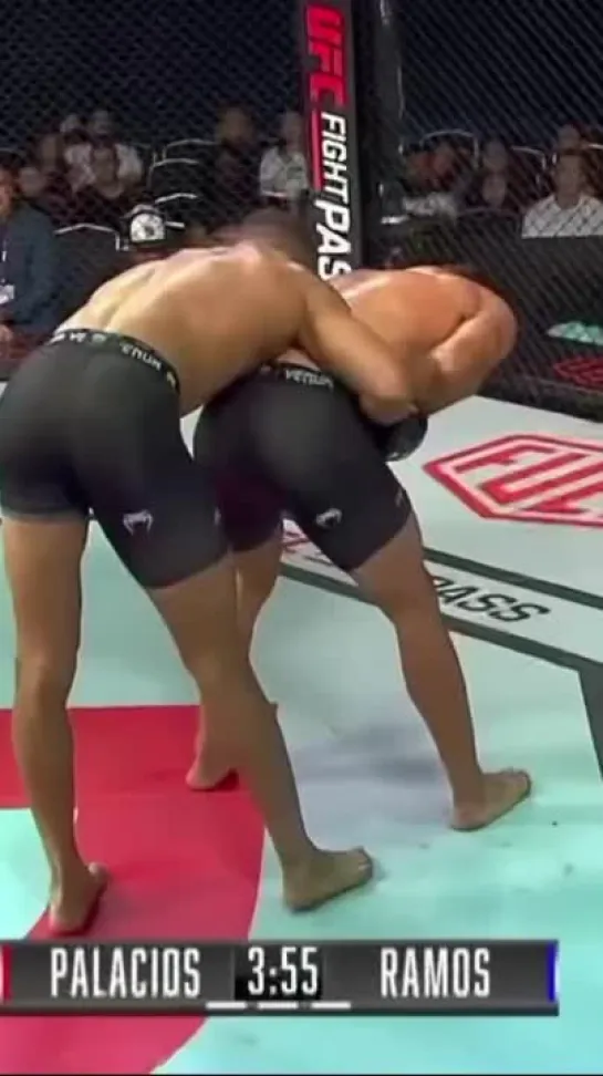 Video by Meta MMA