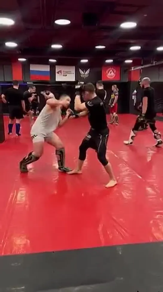 Video by Meta MMA