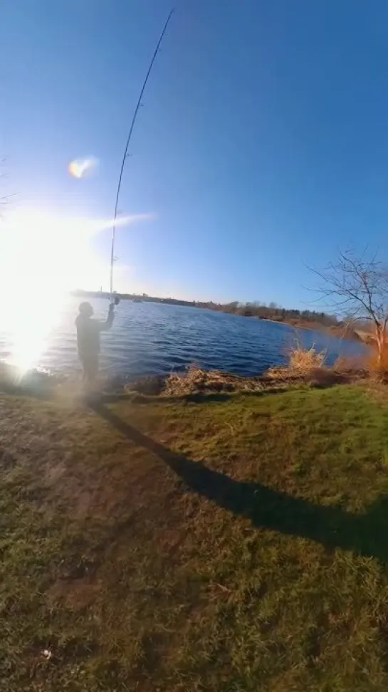 Видео от Amazing GoPro