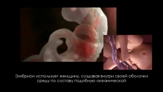 Рождение человека / Human birth (2013)