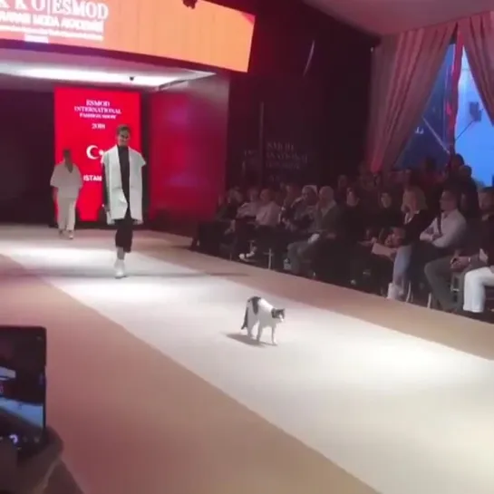 catwalk