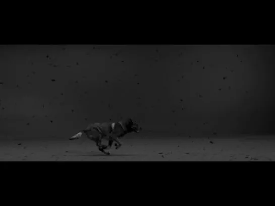 Woodkid - Iron