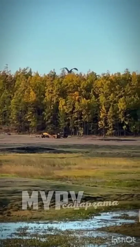 Video by yakutsk_news