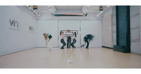 SECRET_NUMBER__PRIVACY__Dance_Practice