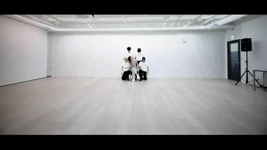 김남주__Bird__안무_연습_영상__Choreography_Practice_Video_